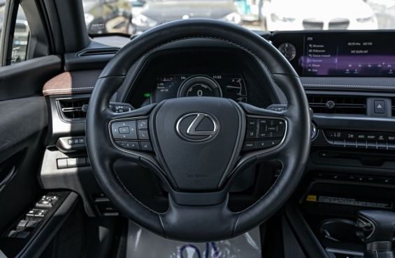 Lexus UX 250h