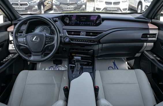 Lexus UX 250h