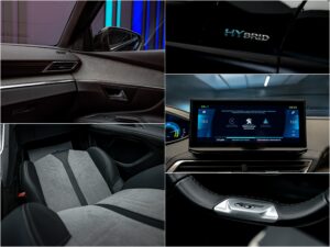 Peugeot 3008 2020 14/17