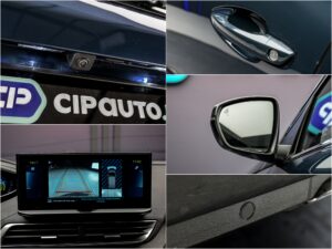 Peugeot 3008 2021 14/15