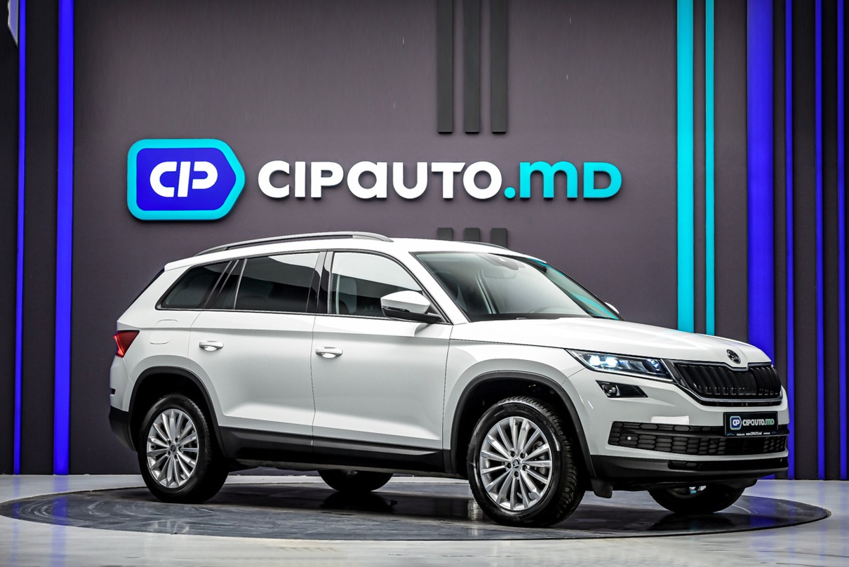 Skoda Kodiaq 2019 4/17