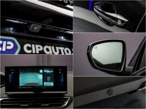 Peugeot 3008 2021 14/16