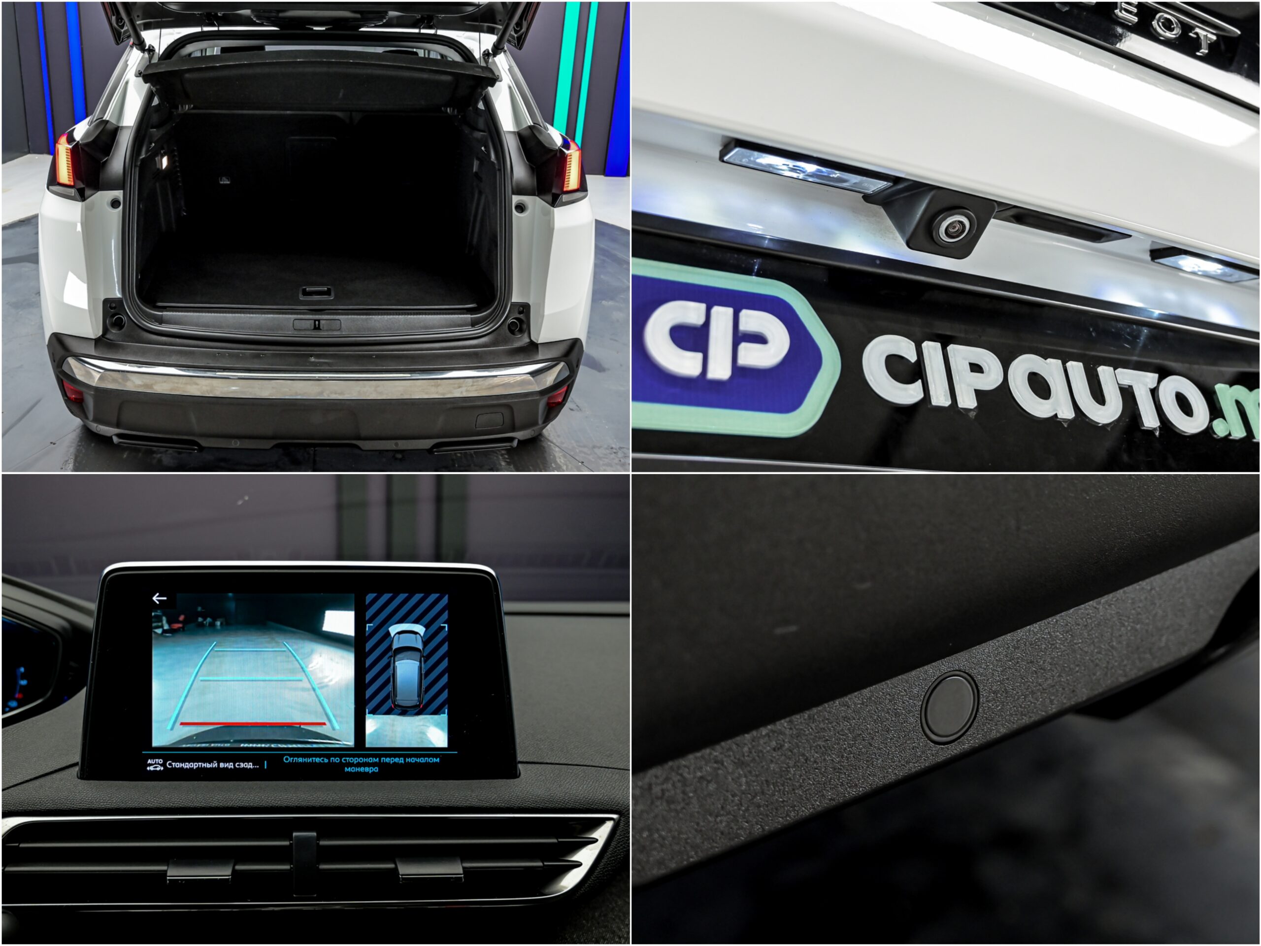 Peugeot 3008 2020 13/15