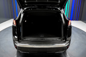 Peugeot 3008 2021 16/16