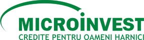 Microinvest