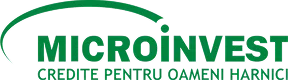 Microinvest