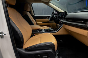 Kia Carnival 2021 6/17