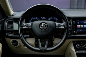 Skoda Kodiaq 2019 9/17