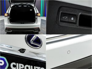 Lexus NX 300h2021 14/14