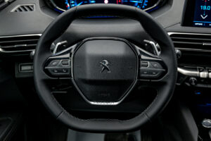 Peugeot 3008 2019 9/14