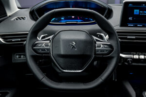 Peugeot 3008 2019 9/12