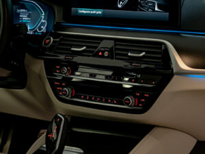 BMW 5 Series 530e2021 65/92