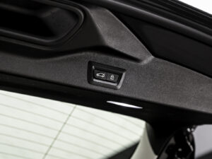 BMW X5 45e2020 24/98