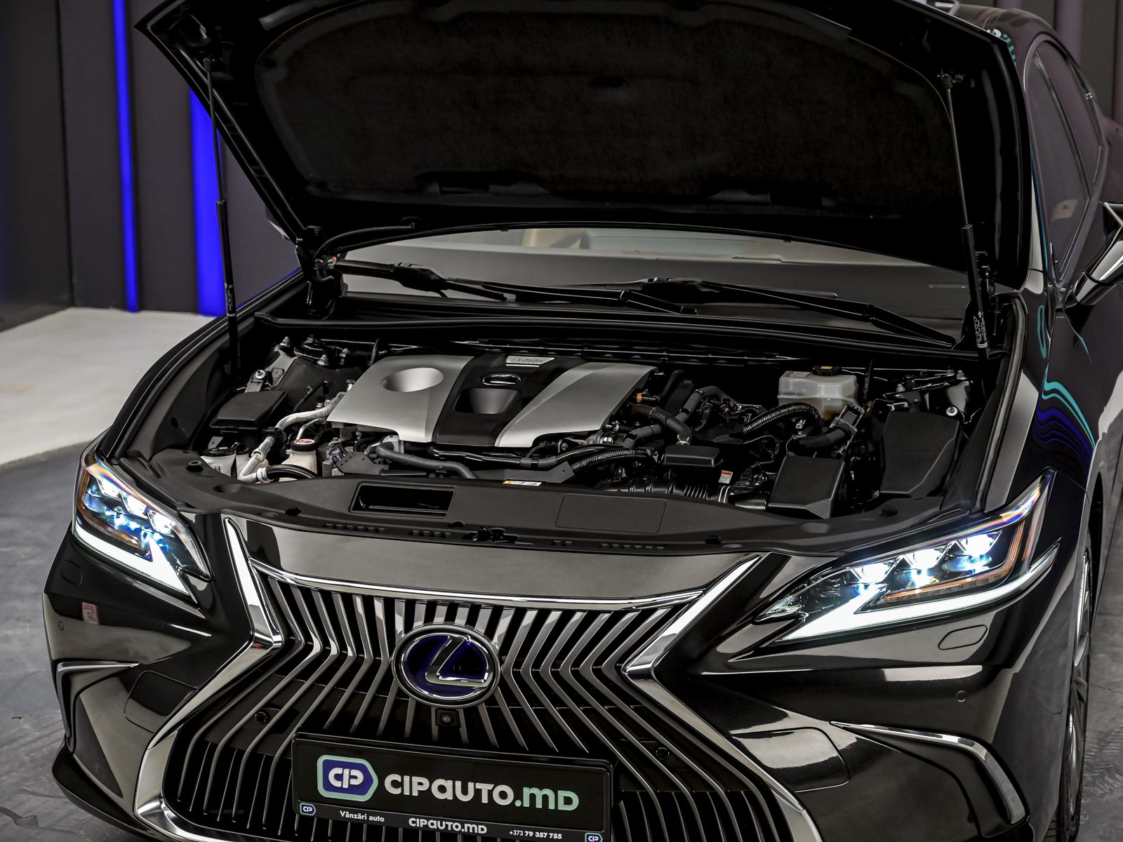 Lexus ES Series 300H2019 44/83