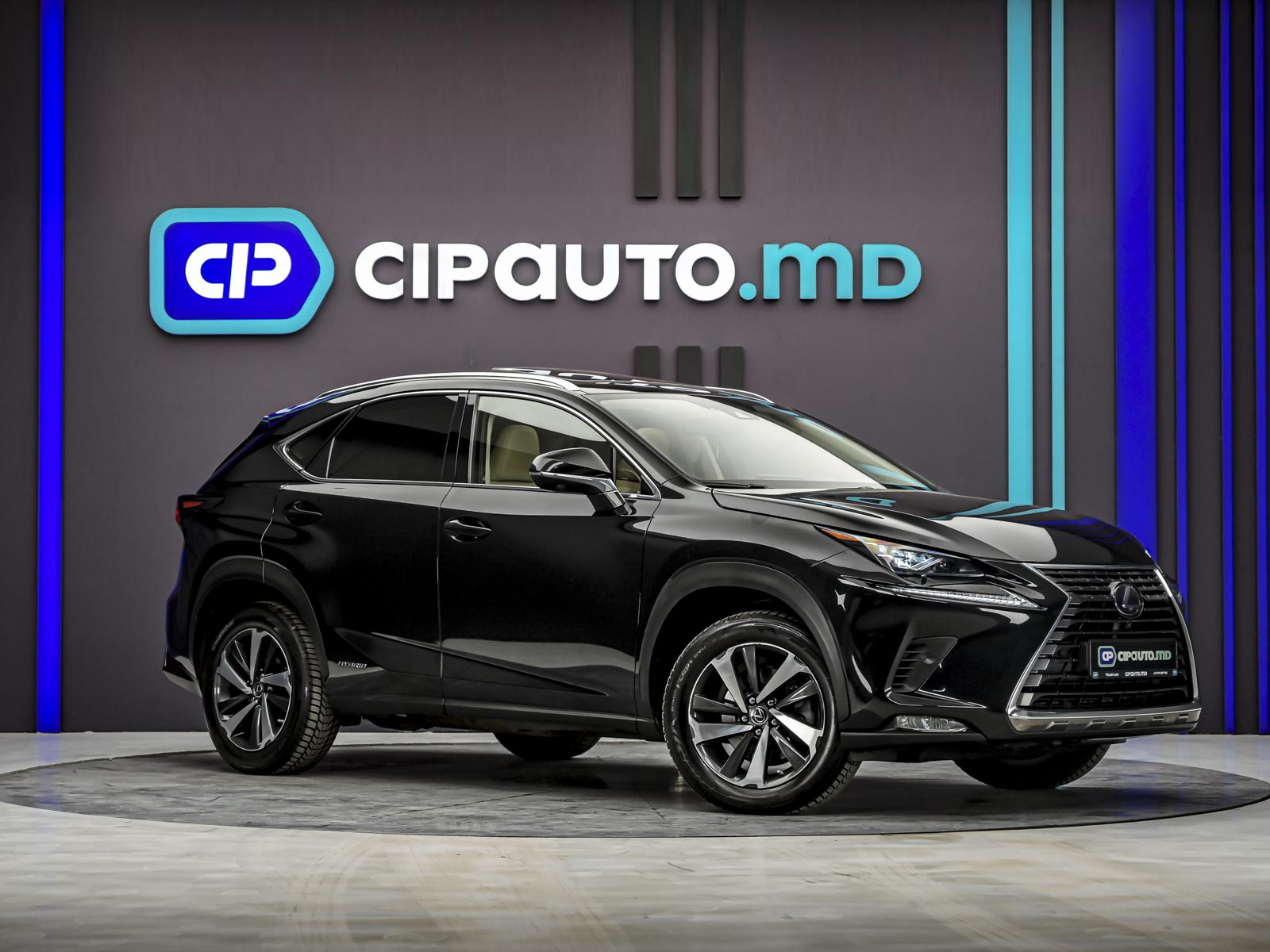 Lexus NX 300h2020 4/98