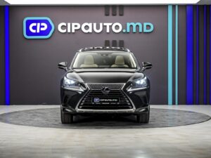Lexus NX 300h2020 17/98