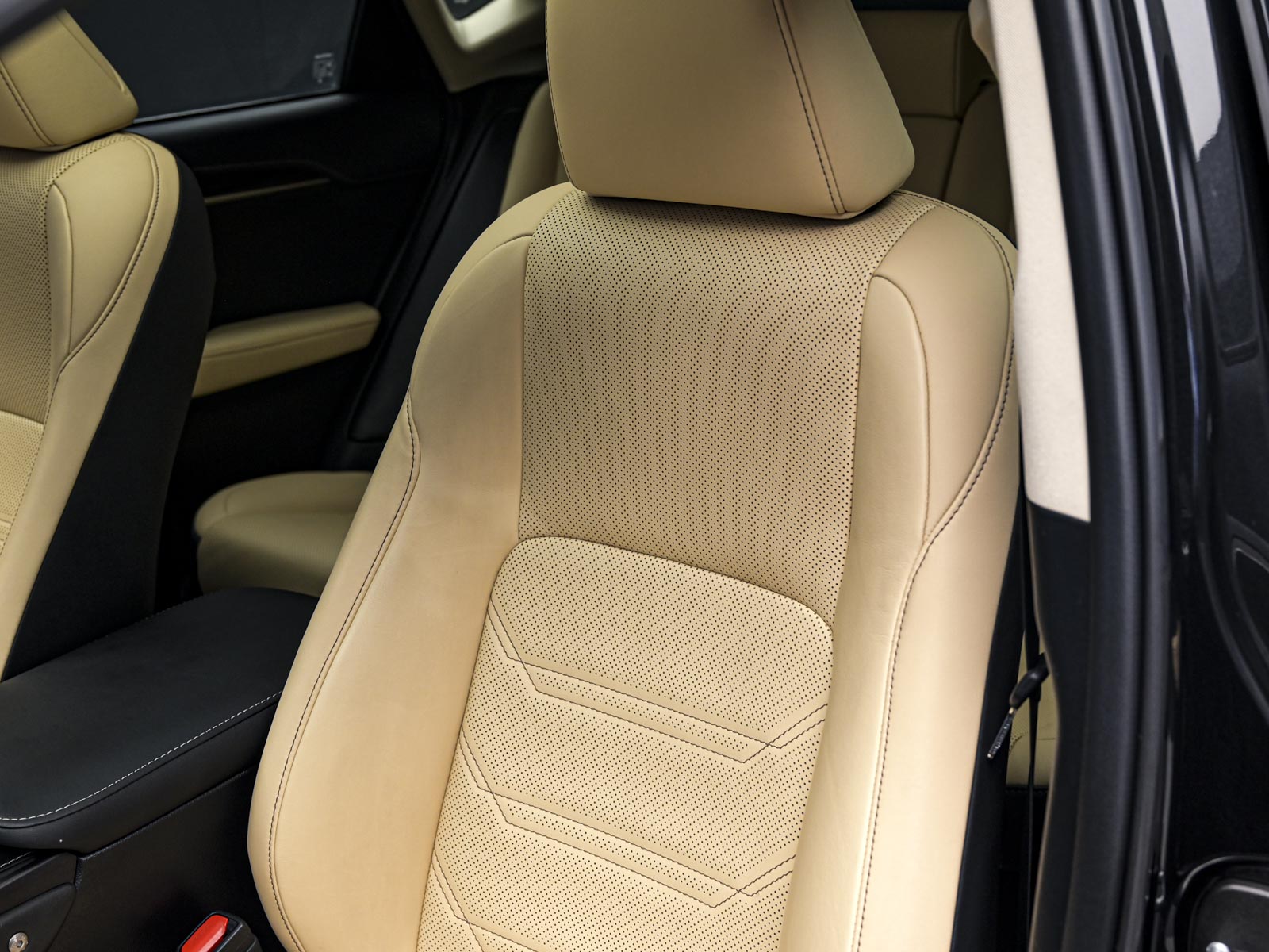 Lexus NX 300h2020 83/98