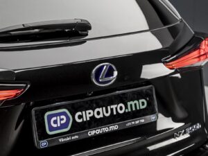 Lexus NX 300h2020 32/98
