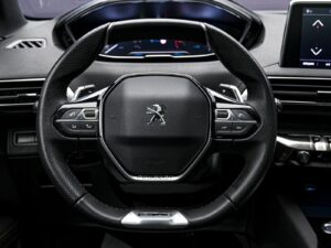 Peugeot 3008 GT Line2020 9/14