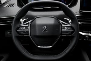 Peugeot 3008 2021 9/14