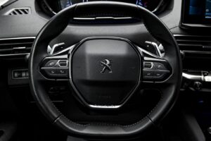 Peugeot 3008 2021 9/13