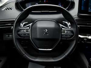 Peugeot 3008 2021 9/13