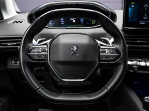 Peugeot 3008 2021 9/14