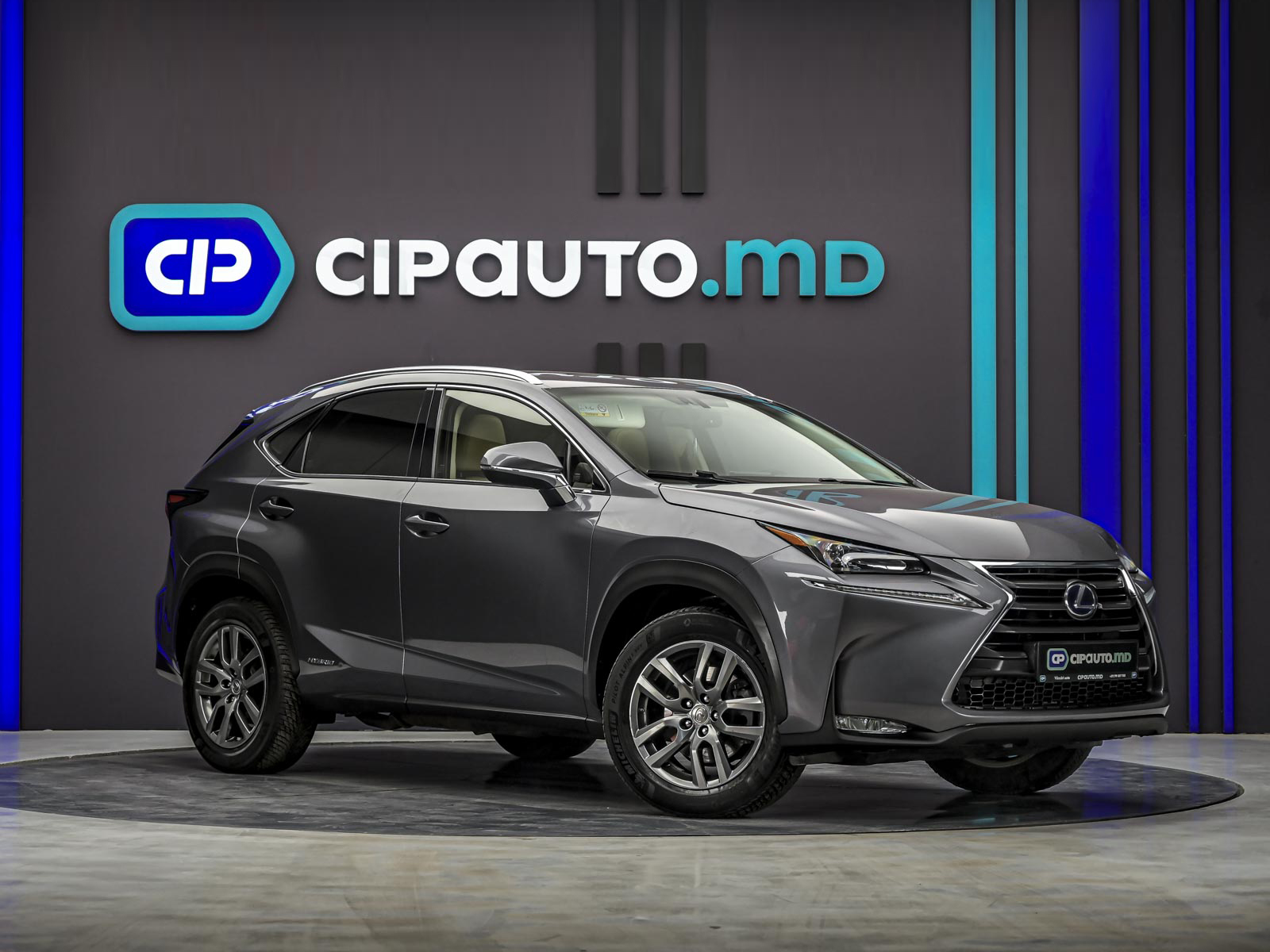 Lexus NX 300h2016 4/14