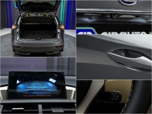 Lexus NX 300h2016 14/14