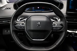 Peugeot 3008 2021 9/13