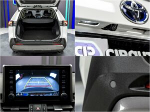 Toyota Rav 4 2019 14/14
