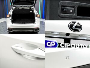 Lexus NX 2002020 14/14