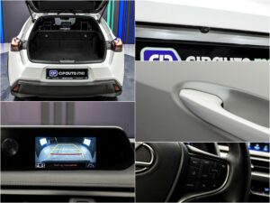 Lexus UX 250h 2020 15/15