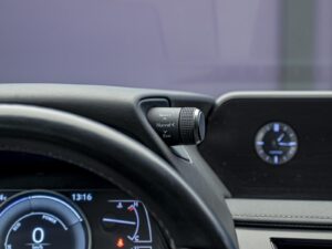Lexus UX 250h 2021 14/15