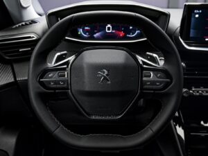 Peugeot 2008 2021 9/14
