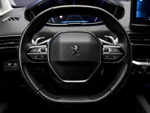 Peugeot 3008 2021 9/14