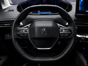 Peugeot 3008 2021 9/13