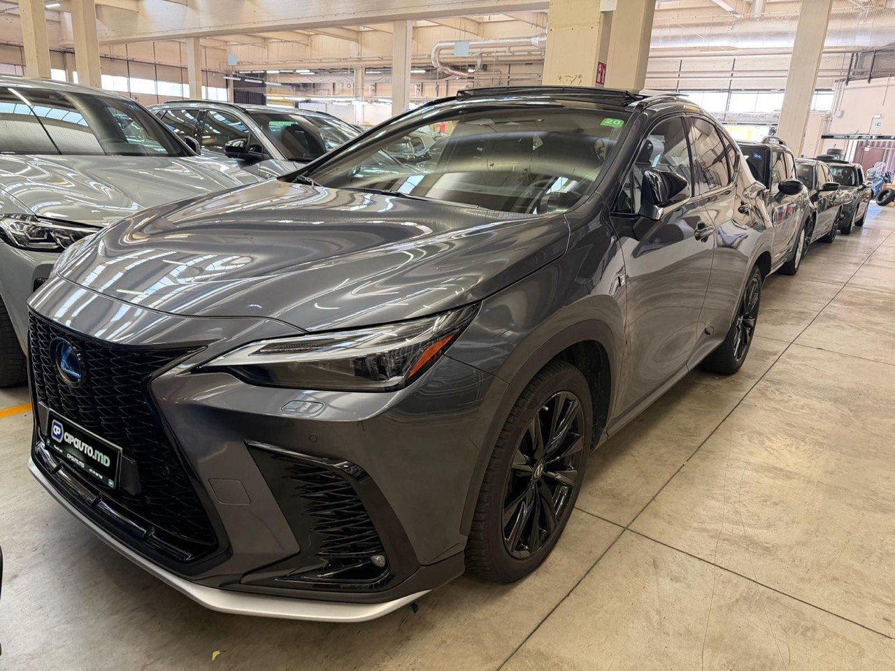 Lexus NX 350H2022 1/14