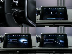 Peugeot 5008 2019 14/16